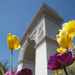 BHI_04-045_059_1x1
