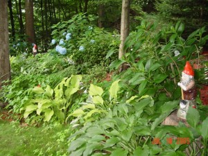 Garden_Jul2005_Image105