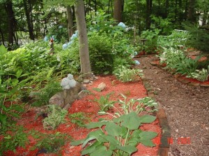 Garden_Jul2005_Image113
