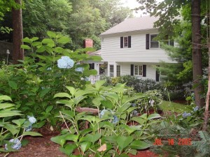 Garden_Jul2005_Image116