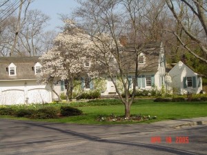 MarlenesHouseandGarden