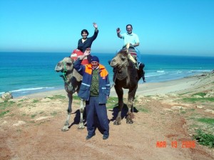 Spain_CamelRideTangerMorocco