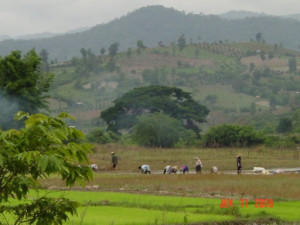 Thailand_Dsc05274